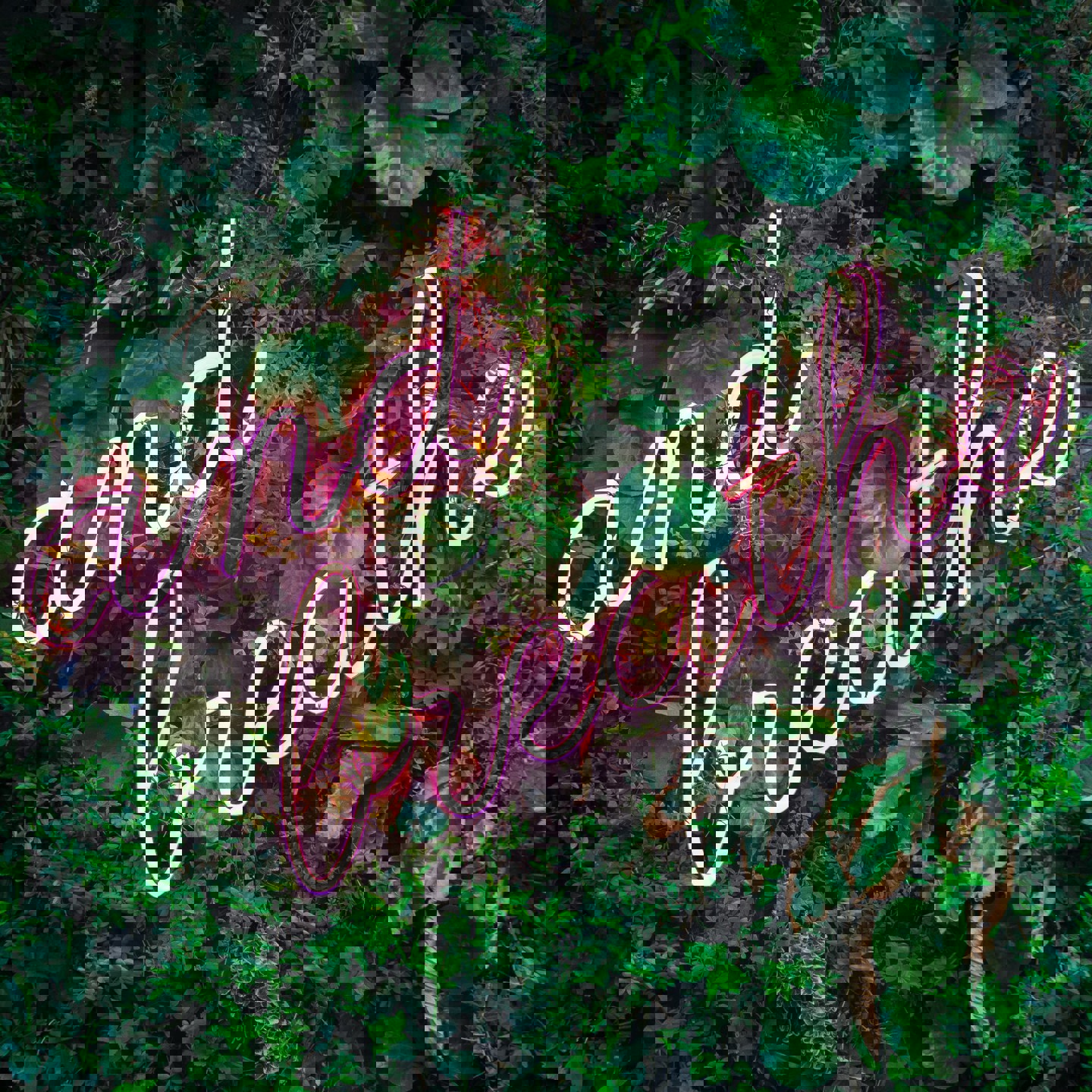 Max Van Den Oetelaar Buymym3rq3u Unsplash