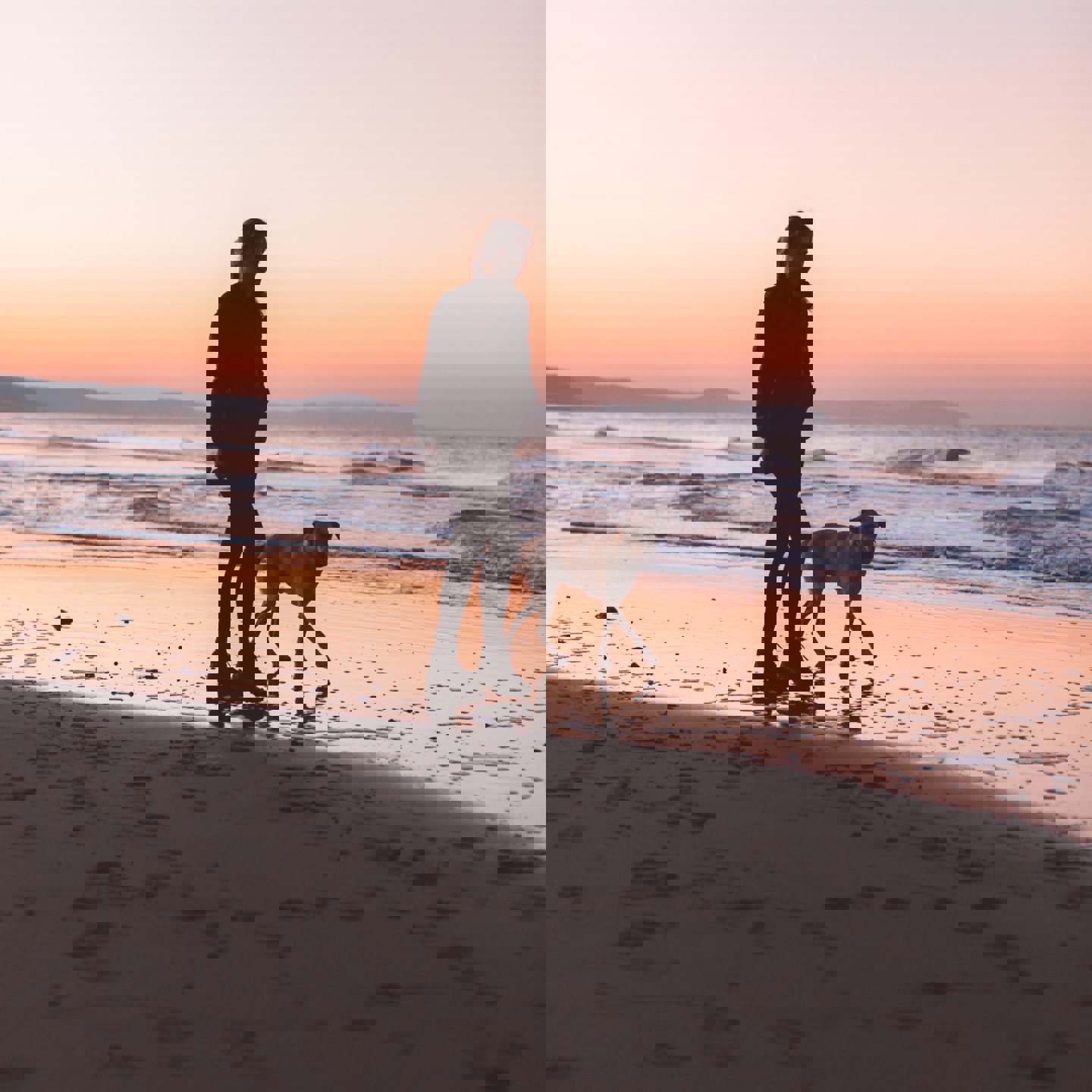 Pexels Humphrey Muleba 1612856