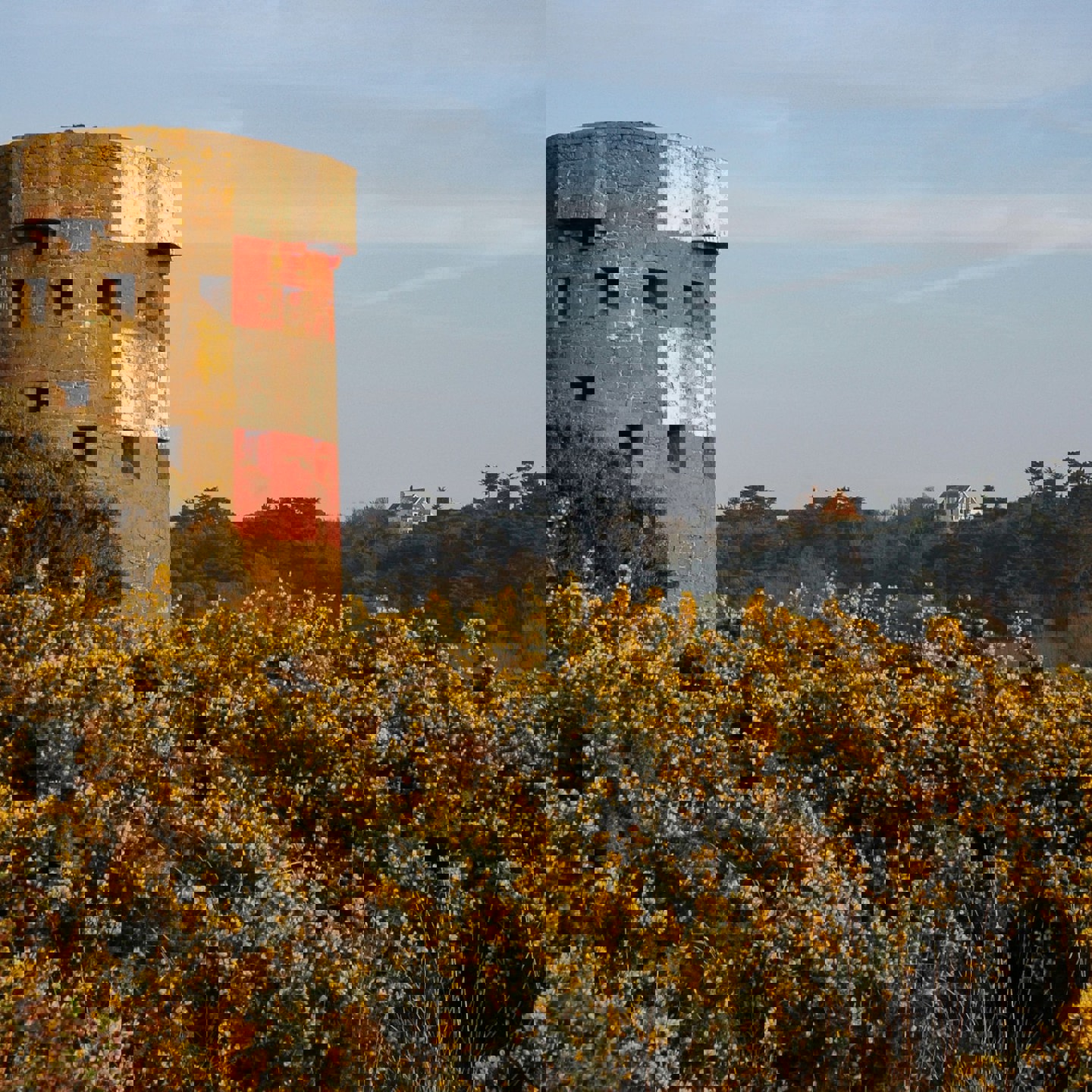 Travis Leery Joylpg93om Unsplash (2)